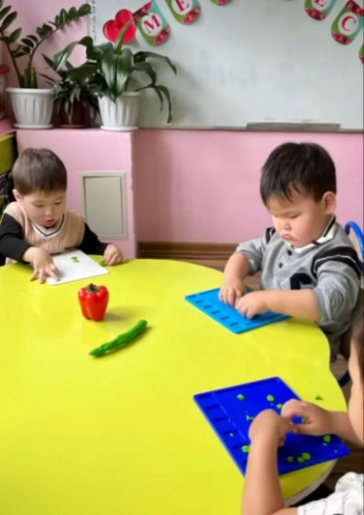Балапан кіші тобы, Дәрумендер