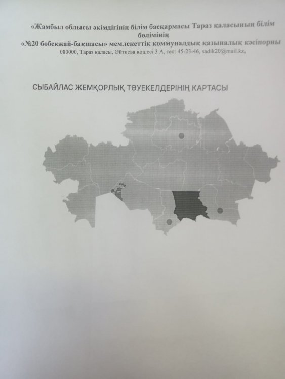 Сыбайлас жемқорлық тәуекелдердің картасы